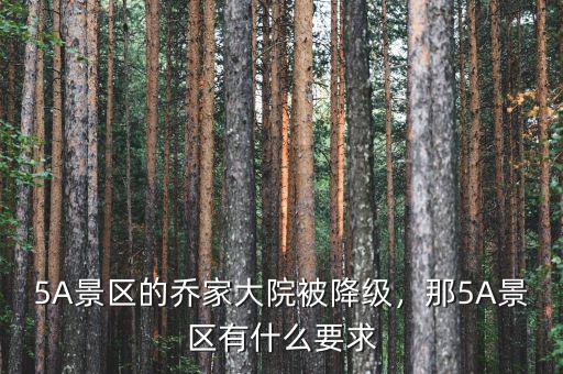 5A景區(qū)的喬家大院被降級，那5A景區(qū)有什么要求