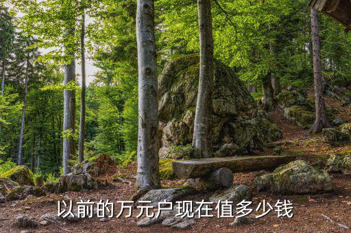 以前的萬(wàn)元戶(hù)相當(dāng)于現(xiàn)在多少錢(qián),相當(dāng)于現(xiàn)在的多少錢(qián)