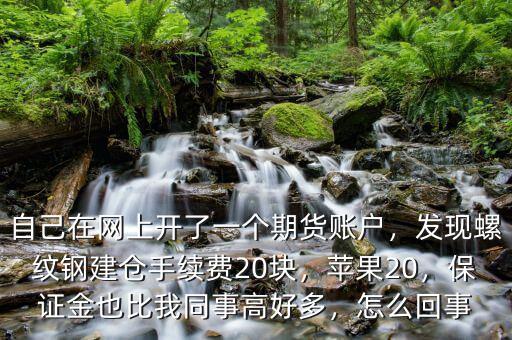 自己在網(wǎng)上開了一個期貨賬戶，發(fā)現(xiàn)螺紋鋼建倉手續(xù)費20塊，蘋果20，保證金也比我同事高好多，怎么回事