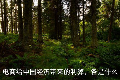電商給中國經(jīng)濟(jì)帶來的利弊，各是什么