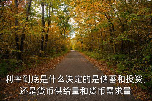 利率到底是什么決定的是儲(chǔ)蓄和投資，還是貨幣供給量和貨幣需求量