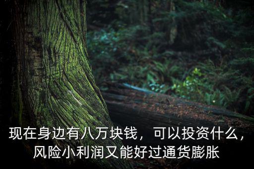 現(xiàn)在身邊有八萬(wàn)塊錢，可以投資什么，風(fēng)險(xiǎn)小利潤(rùn)又能好過(guò)通貨膨脹
