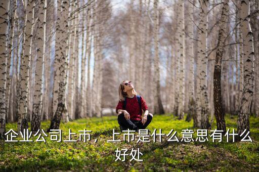 企業(yè)公司上市，上市是什么意思有什么好處