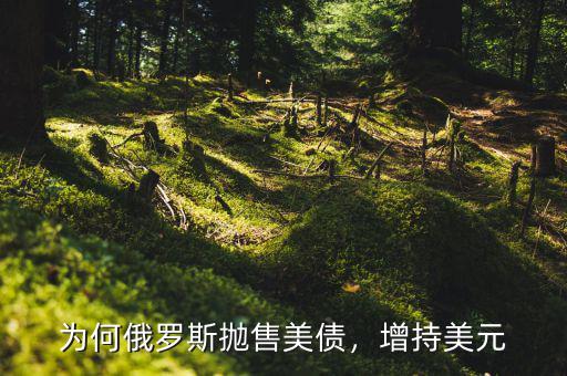 為何俄羅斯拋售美債，增持美元