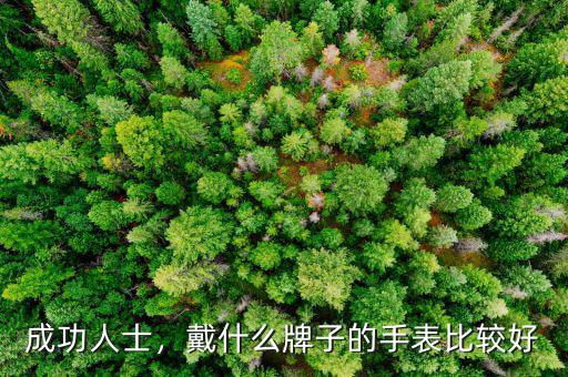 成功人士，戴什么牌子的手表比較好