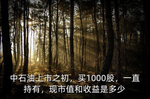 中石油上市之初，買1000股，一直持有，現(xiàn)市值和收益是多少