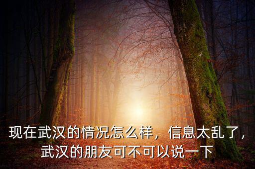 現(xiàn)在武漢的情況怎么樣，信息太亂了，武漢的朋友可不可以說一下