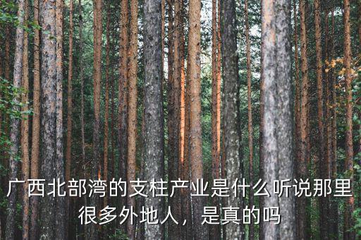 廣西北部灣的支柱產(chǎn)業(yè)是什么聽(tīng)說(shuō)那里很多外地人，是真的嗎