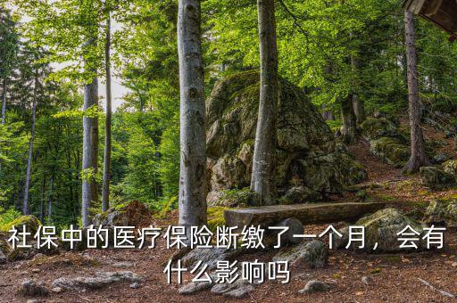 社保中的醫(yī)療保險(xiǎn)斷繳了一個(gè)月，會(huì)有什么影響嗎