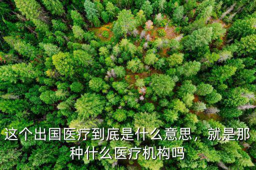 這個(gè)出國(guó)醫(yī)療到底是什么意思，就是那種什么醫(yī)療機(jī)構(gòu)嗎