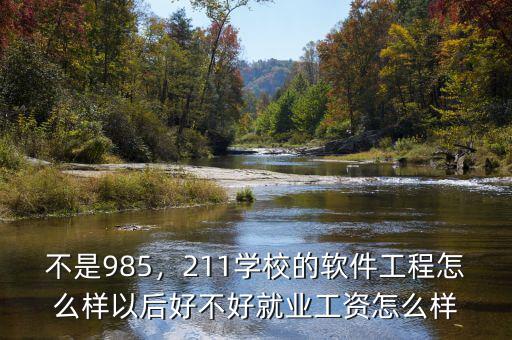 不是985，211學(xué)校的軟件工程怎么樣以后好不好就業(yè)工資怎么樣