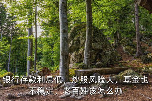 銀行存款利息低，炒股風(fēng)險(xiǎn)大，基金也不穩(wěn)定，老百姓該怎么辦