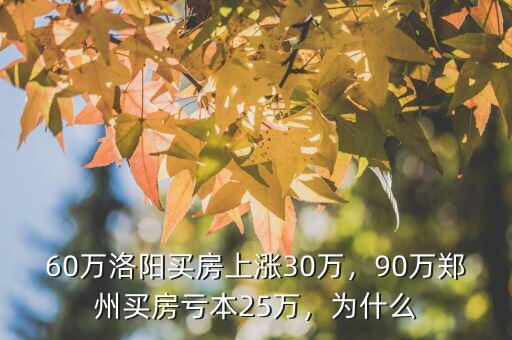 60萬洛陽買房上漲30萬，90萬鄭州買房虧本25萬，為什么