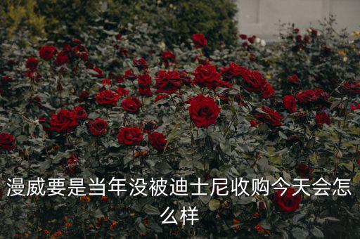 迪士尼什么時候收購漫威,迪士尼收購?？怂?/></a></span><span id=