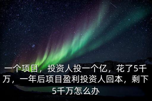 一個項目，投資人投一個億，花了5千萬，一年后項目盈利投資人回本，剩下5千萬怎么辦