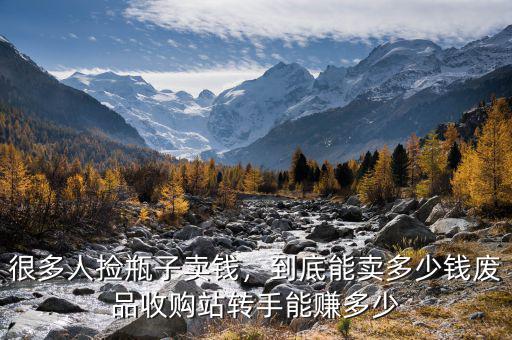 很多人撿瓶子賣錢，到底能賣多少錢廢品收購站轉(zhuǎn)手能賺多少