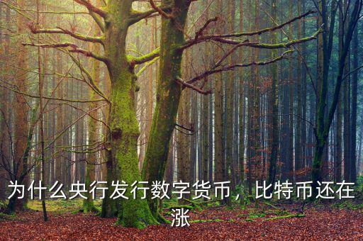 為什么央行發(fā)行數(shù)字貨幣，比特幣還在漲