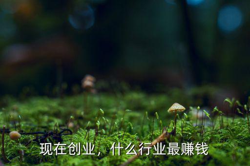 現(xiàn)在創(chuàng)業(yè)，什么行業(yè)最賺錢