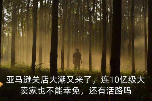 亞馬遜關(guān)店大潮又來了，連10億級大賣家也不能幸免，還有活路嗎