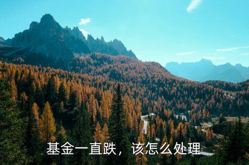 基金一直跌，該怎么處理