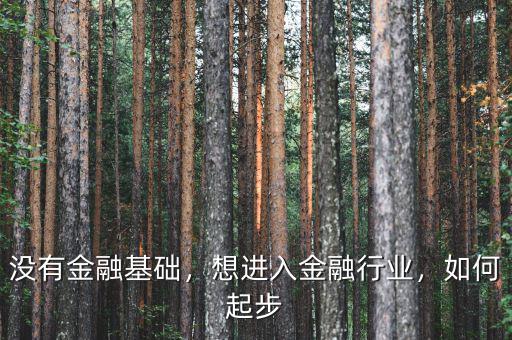 沒有金融基礎(chǔ)，想進(jìn)入金融行業(yè)，如何起步