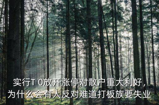 實(shí)行T 0放開漲停對(duì)散戶重大利好，為什么會(huì)有人反對(duì)難道打板族要失業(yè)