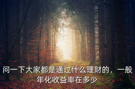 問一下大家都是通過什么理財(cái)?shù)?，一般年化收益率在多? class=