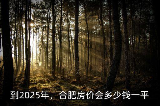 到2025年，合肥房價(jià)會(huì)多少錢一平