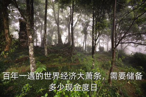 百年一遇的世界經(jīng)濟(jì)大蕭條，需要儲備多少現(xiàn)金度日