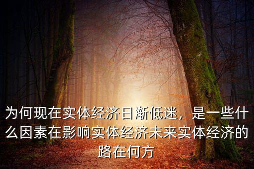 為何現(xiàn)在實(shí)體經(jīng)濟(jì)日漸低迷，是一些什么因素在影響實(shí)體經(jīng)濟(jì)未來(lái)實(shí)體經(jīng)濟(jì)的路在何方
