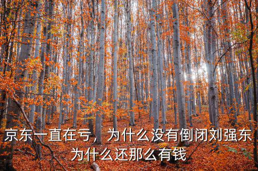 京東一直在虧，為什么沒(méi)有倒閉劉強(qiáng)東為什么還那么有錢(qián)