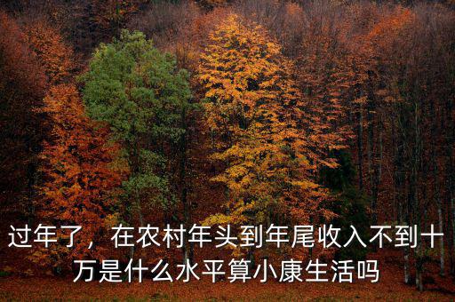 過年了，在農(nóng)村年頭到年尾收入不到十萬是什么水平算小康生活嗎