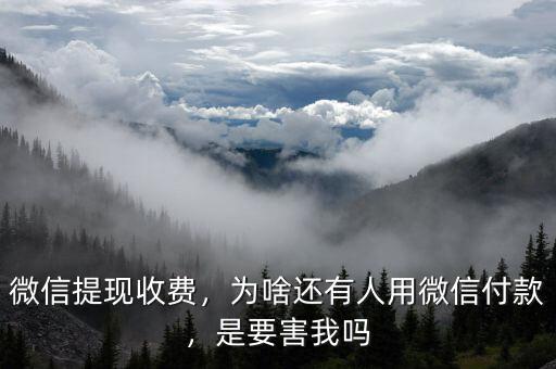 微信提現(xiàn)收費(fèi)，為啥還有人用微信付款，是要害我嗎