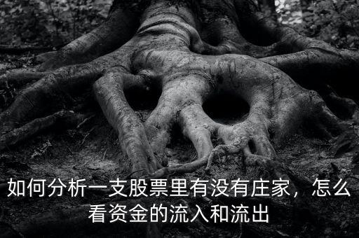 如何分析一支股票里有沒有莊家，怎么看資金的流入和流出