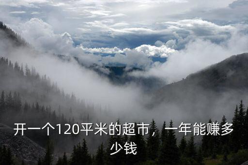 開(kāi)一個(gè)120平米的超市，一年能賺多少錢