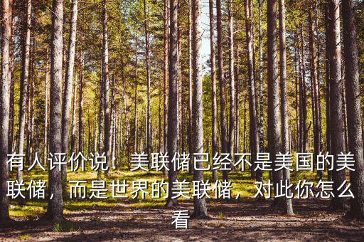 有人評(píng)價(jià)說(shuō)：美聯(lián)儲(chǔ)已經(jīng)不是美國(guó)的美聯(lián)儲(chǔ)，而是世界的美聯(lián)儲(chǔ)，對(duì)此你怎么看