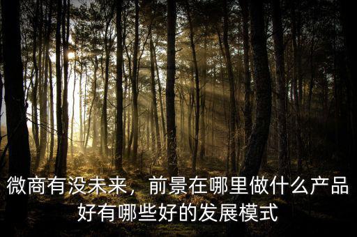 微商有沒未來，前景在哪里做什么產(chǎn)品好有哪些好的發(fā)展模式
