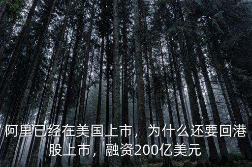阿里已經(jīng)在美國上市，為什么還要回港股上市，融資200億美元
