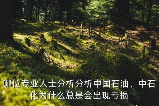 哪位專業(yè)人士分析分析中國石油、中石化為什么總是會出現(xiàn)虧損