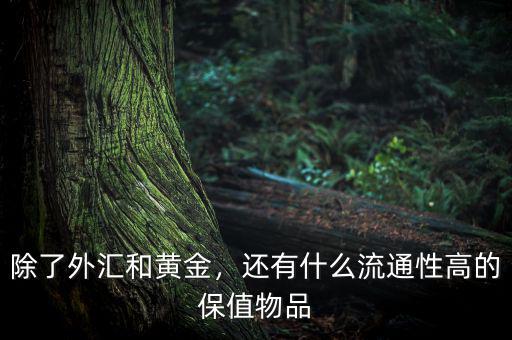 除了外匯和黃金，還有什么流通性高的保值物品