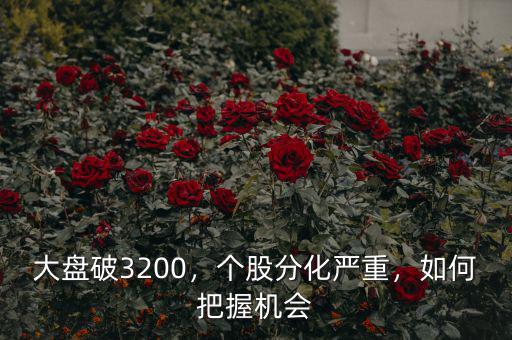 大盤破3200，個(gè)股分化嚴(yán)重，如何把握機(jī)會(huì)