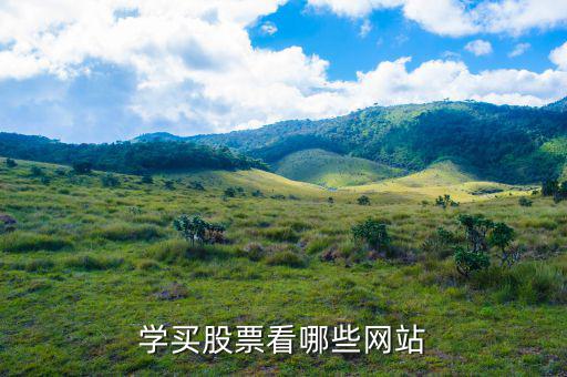 散戶買(mǎi)股票看什么,散戶買(mǎi)多少股合適