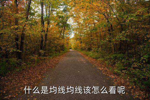 大盤(pán)均線怎么看,股票20日均線怎么看