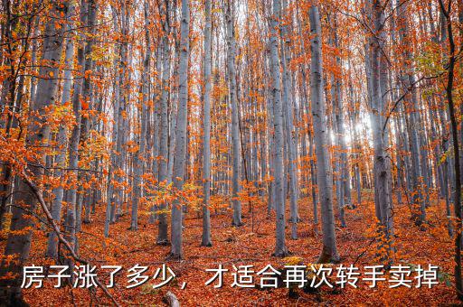 房子漲了多少，才適合再次轉(zhuǎn)手賣掉