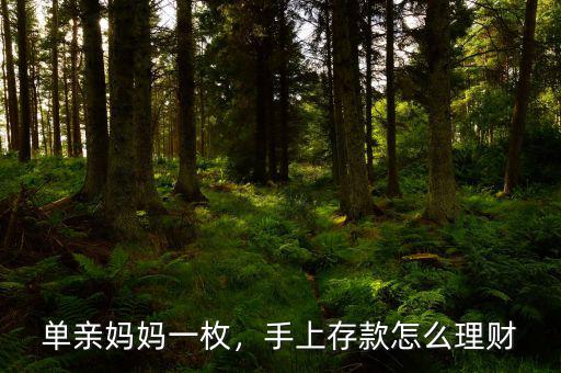 單親媽媽一枚，手上存款怎么理財