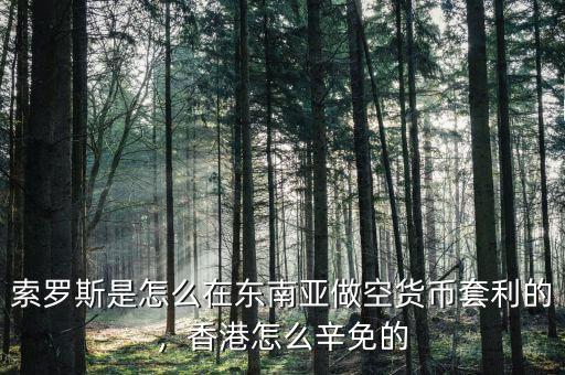 索羅斯是怎么在東南亞做空貨幣套利的，香港怎么辛免的