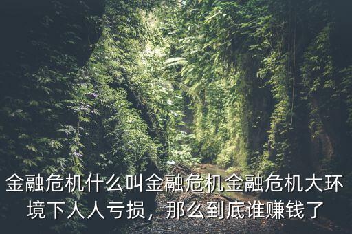 金融危機什么叫金融危機金融危機大環(huán)境下人人虧損，那么到底誰賺錢了