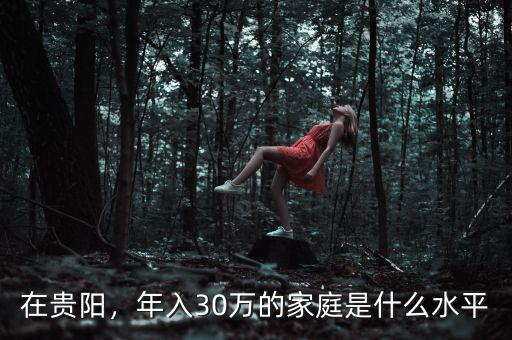 在貴陽，年入30萬的家庭是什么水平
