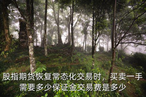 股指期貨恢復(fù)常態(tài)化交易時(shí)，買賣一手需要多少保證金交易費(fèi)是多少