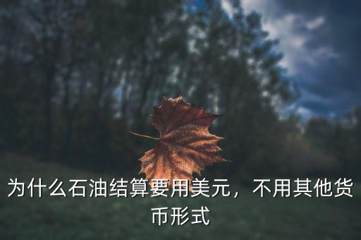 為什么石油結(jié)算要用美元，不用其他貨幣形式